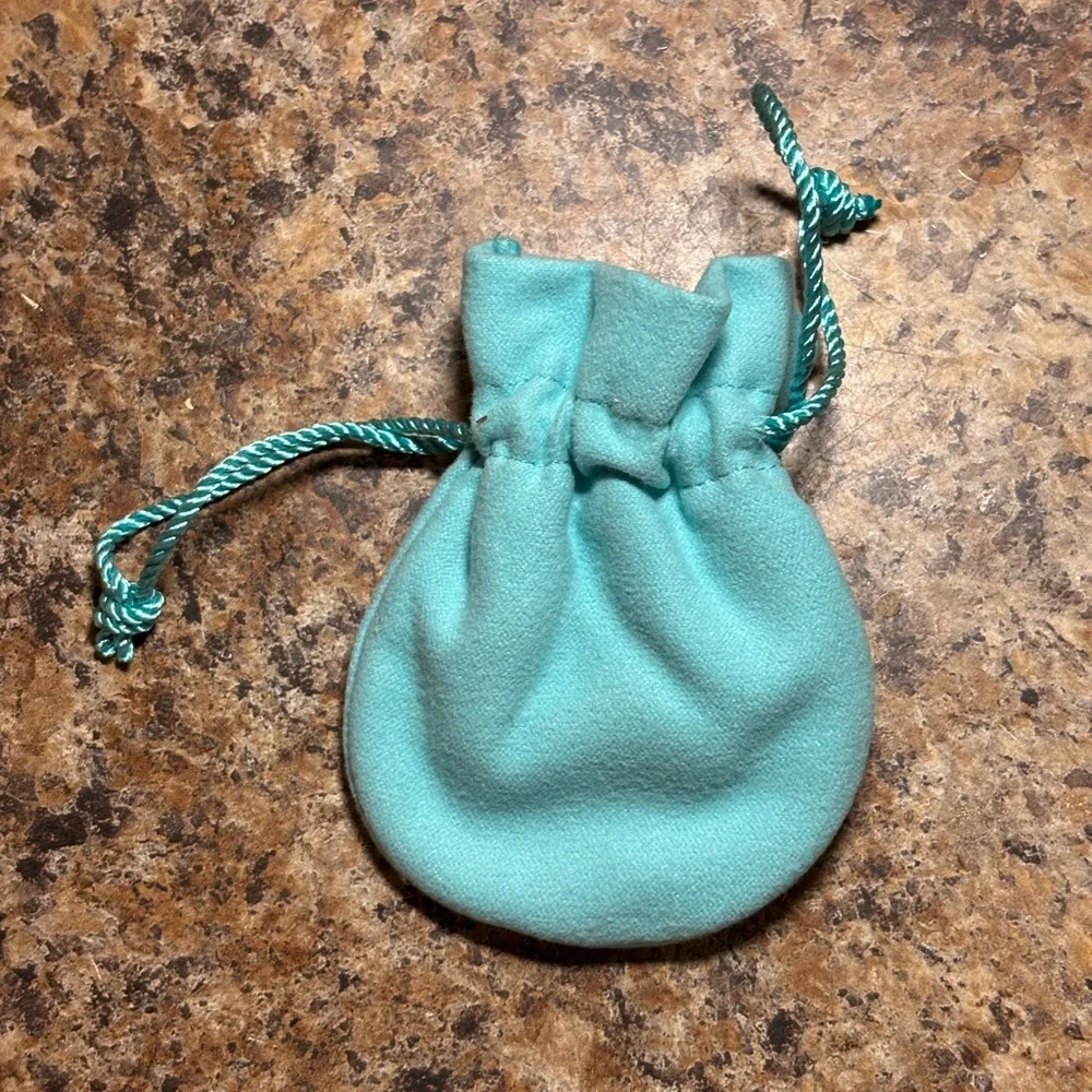 Tiffany & Co. Turquoise Jewelry Pouch - Picture 5 of 5
